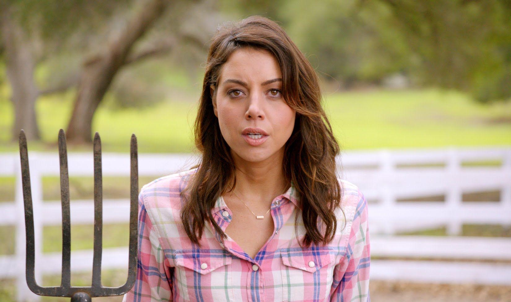 1650x980 Aubrey Plaza is Bisexual, Knows You're Into Her, Is Cool With It, Desktop