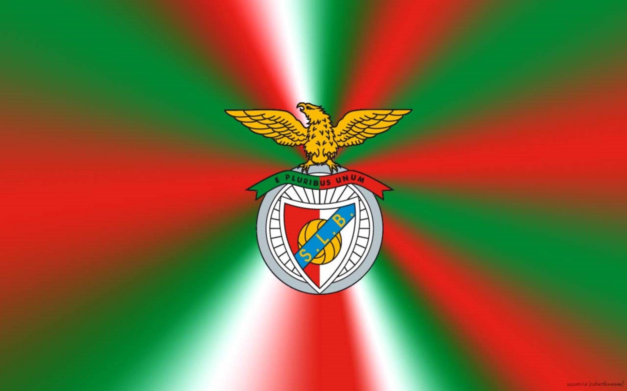 2050x1280 SL Benfica wallpaper, Desktop