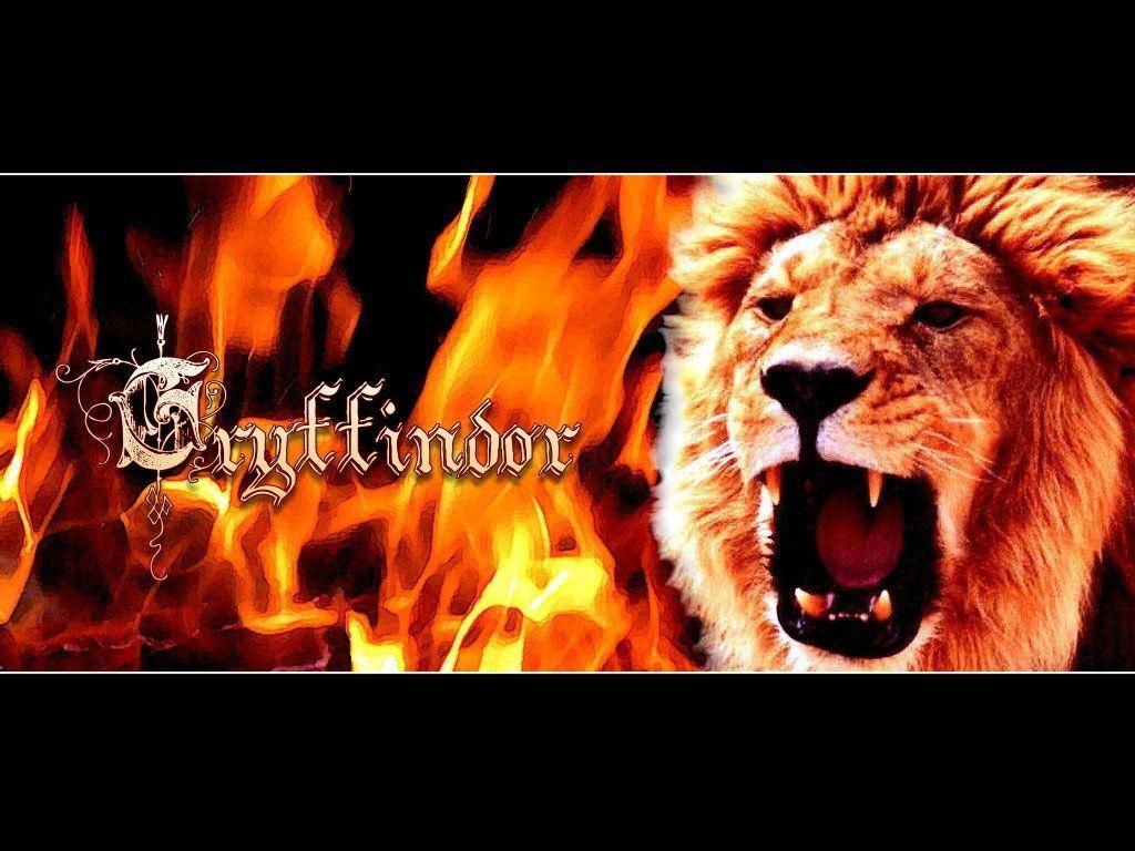 1030x770 Gryffindor Wallpaper fanclubs, Desktop