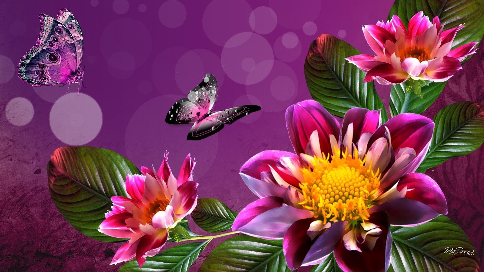 1920x1080 Desktop Wallpaper Flowers Full Size HD, Desktop