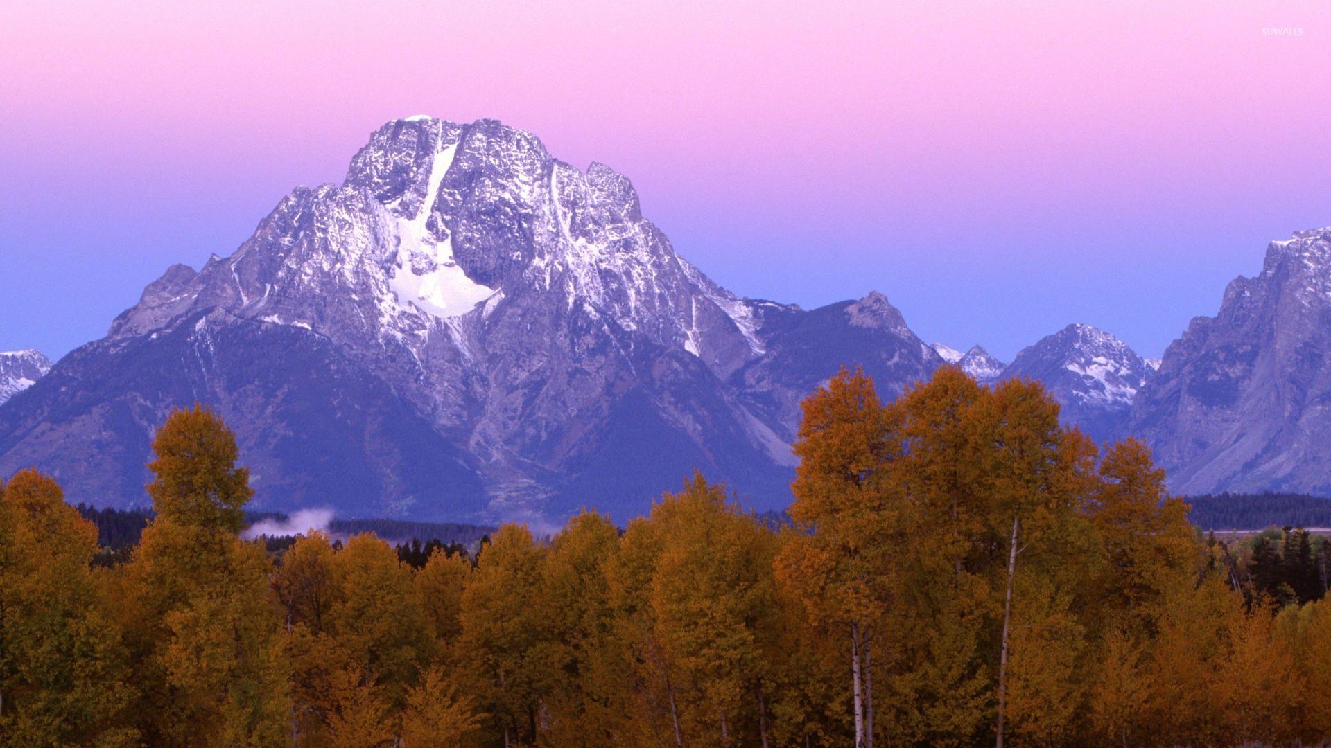 1920x1080 Olympic National Park wallpaper wallpaper, Desktop