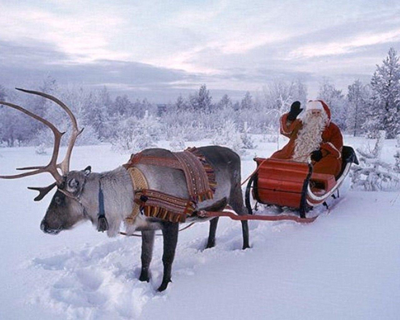 1280x1030 Santa And Reindeer Wallpaper, Desktop