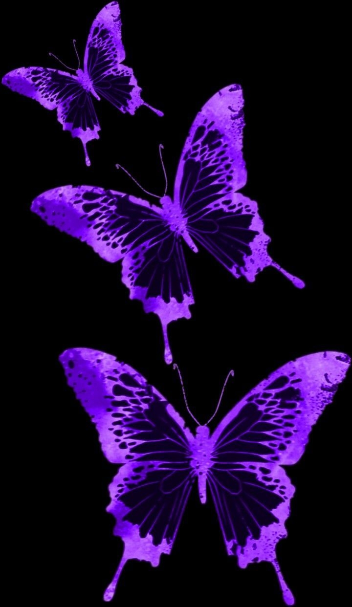 720x1250 purple passion. Purple butterfly wallpaper, Purple flowers, Phone