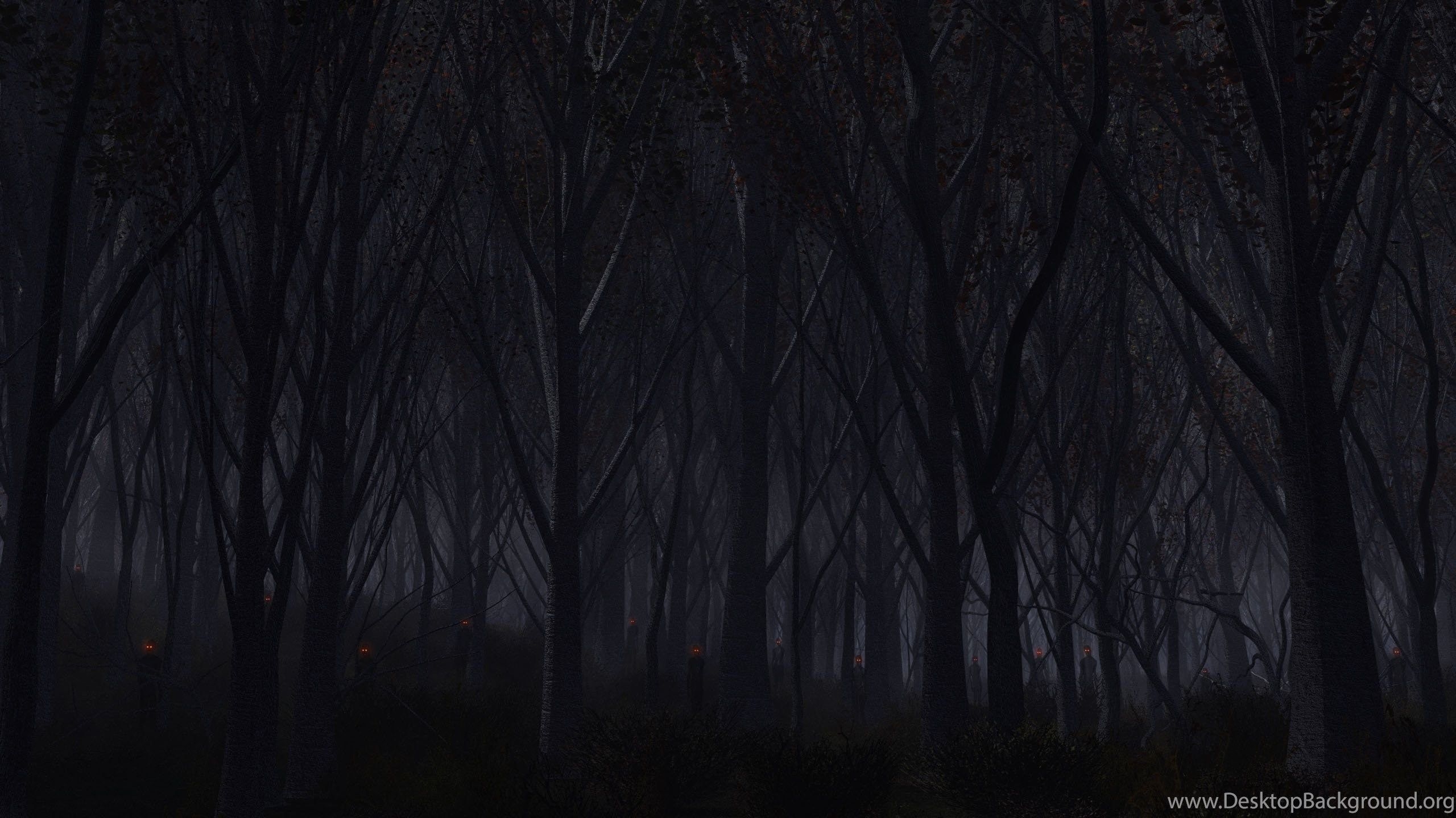 2560x1440 Haunted Forest Wallpaper, Desktop