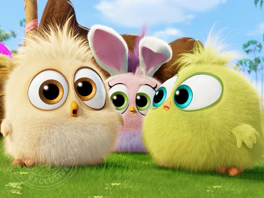 1030x770 The Angry Birds Movie: See The Hatchlings In Easter Themed Clip. Angry Birds Movie, Cute Birds, Bird Gif, Desktop