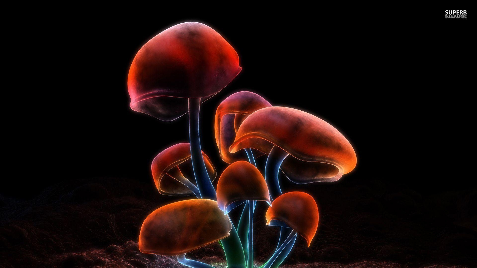 1920x1080 Shroom Wallpaper HD, Desktop