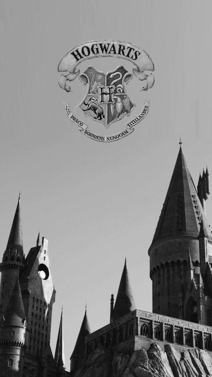 740x1310 Harry potter iphone, Harry potter phone case, Harry potter background, Phone