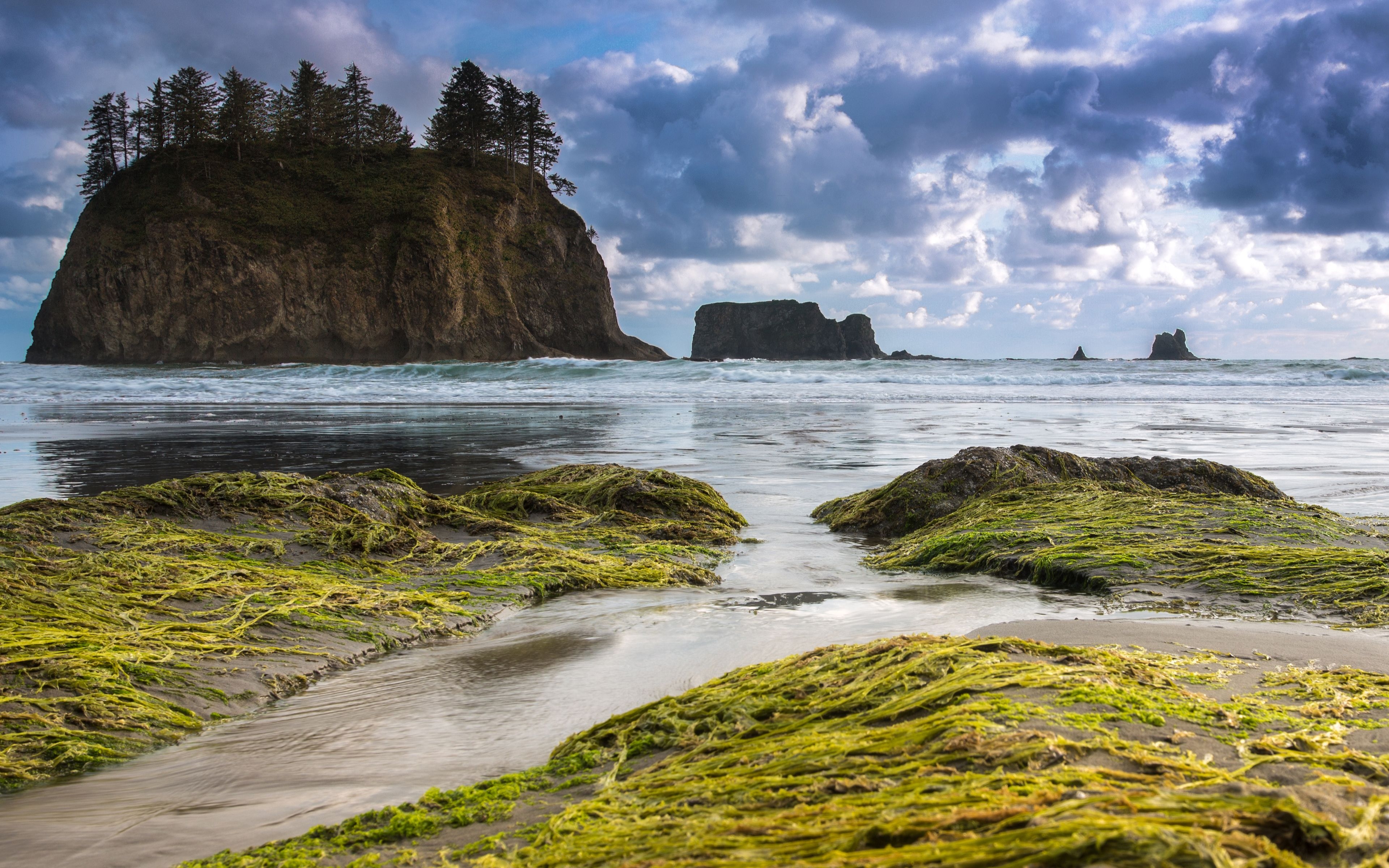 3840x2400 Olympic Peninsula, Olympic National Park, Washington, USA, Desktop