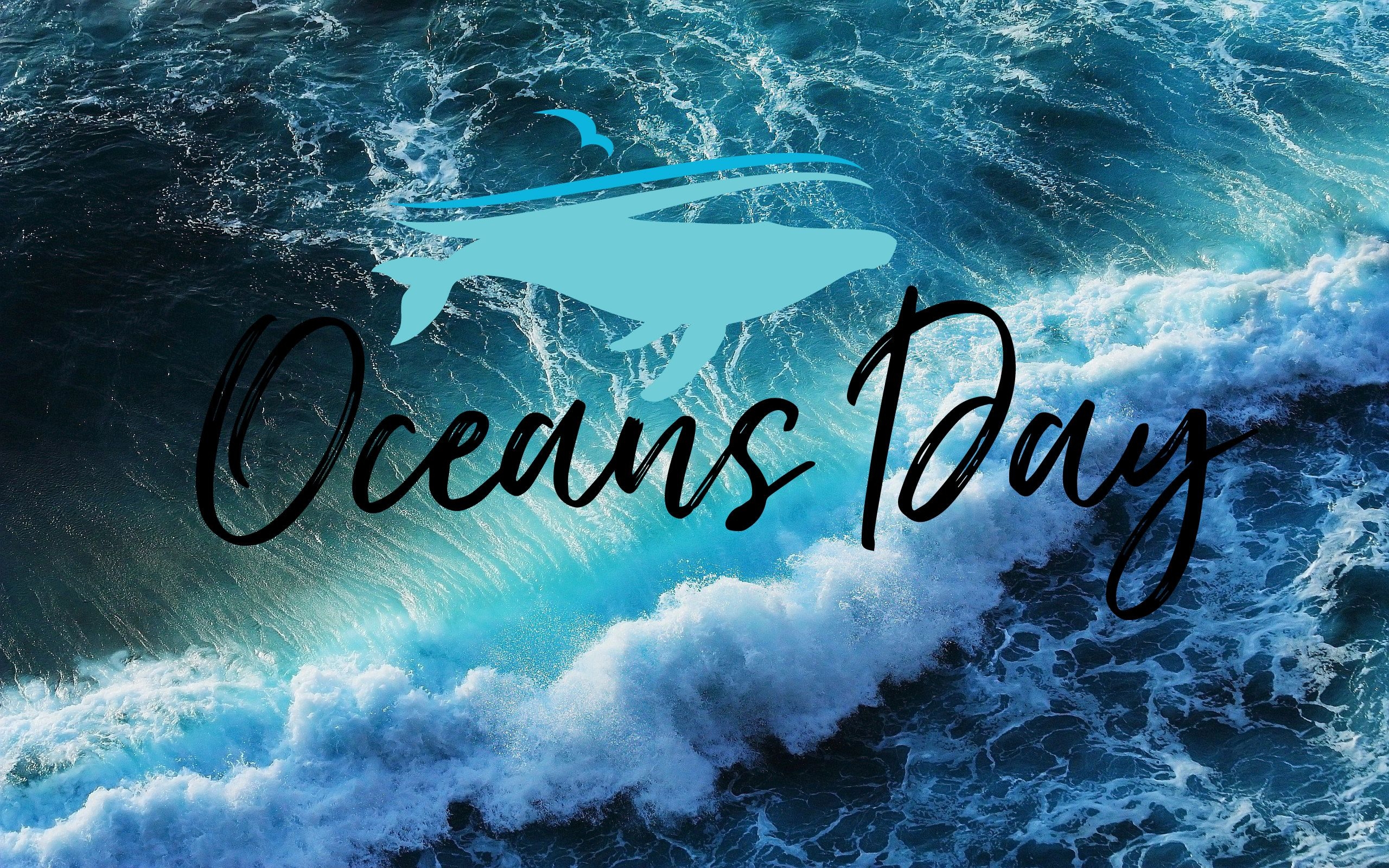 2560x1600 Happy World Oceans Day Surfing HD Wallpaper, Desktop