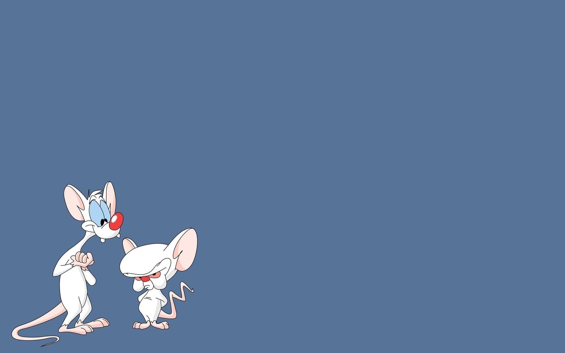 1920x1200 Pinky and the Brain Wallpaper. Brain, Desktop