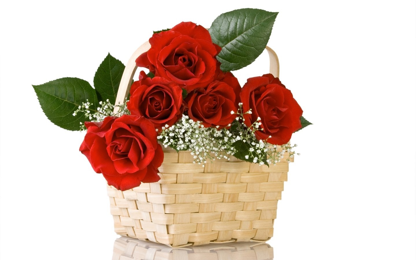 1440x900 Free Fresh Valentine's Day Rose Picture, Desktop