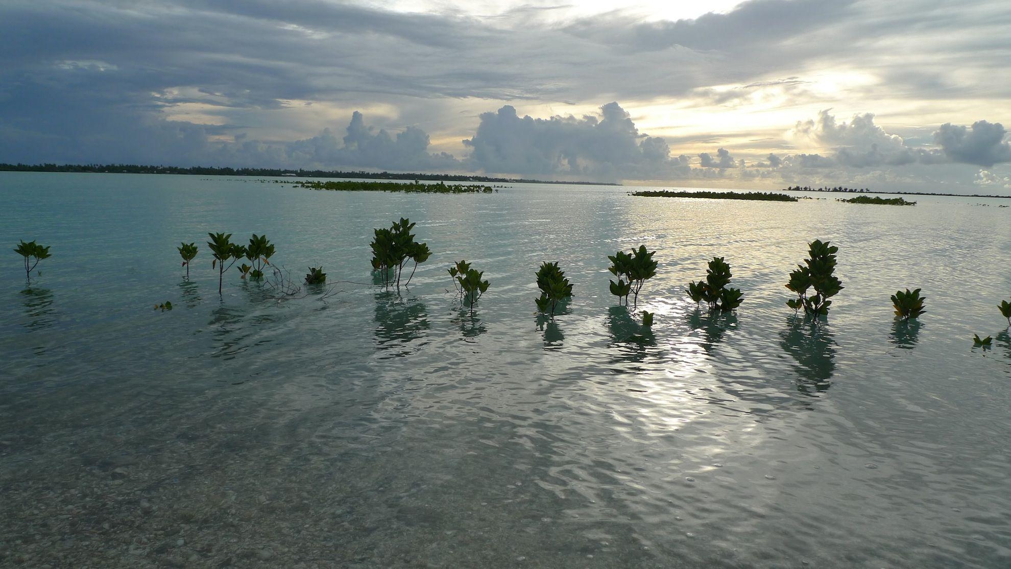 1980x1120 Kiribati capital, Desktop