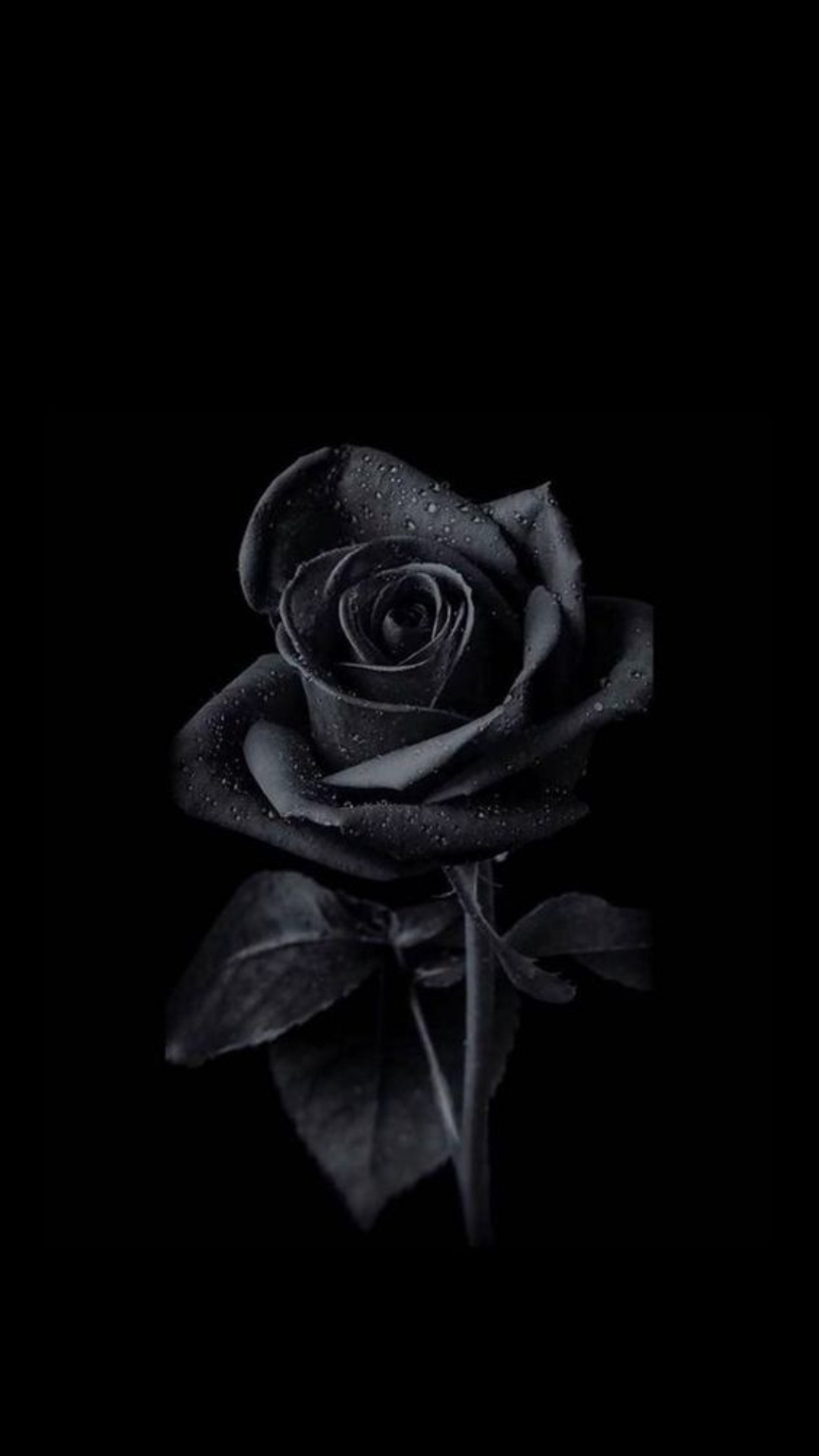 1080x1920 Black Wallpaper Black Wallpaper [ HQ ], Phone