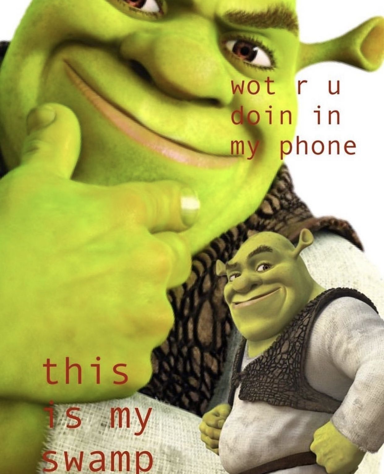 1250x1540 Funny Shrek Wallpaper Free Funny Shrek Background, Phone