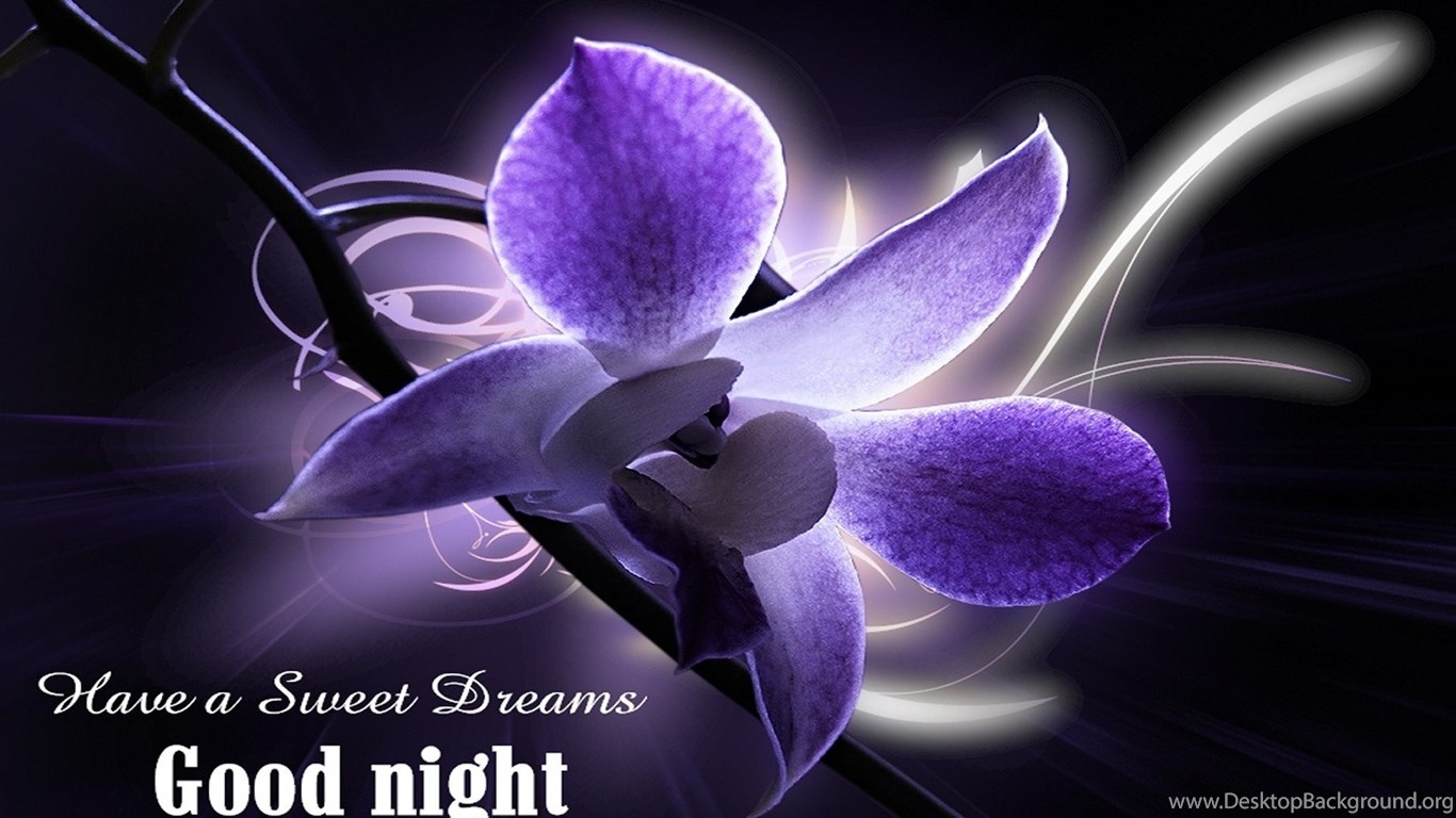 1370x770 Free Download Of Good Night Flower Wallpaper Newwallpaperhits.com Desktop Background, Desktop