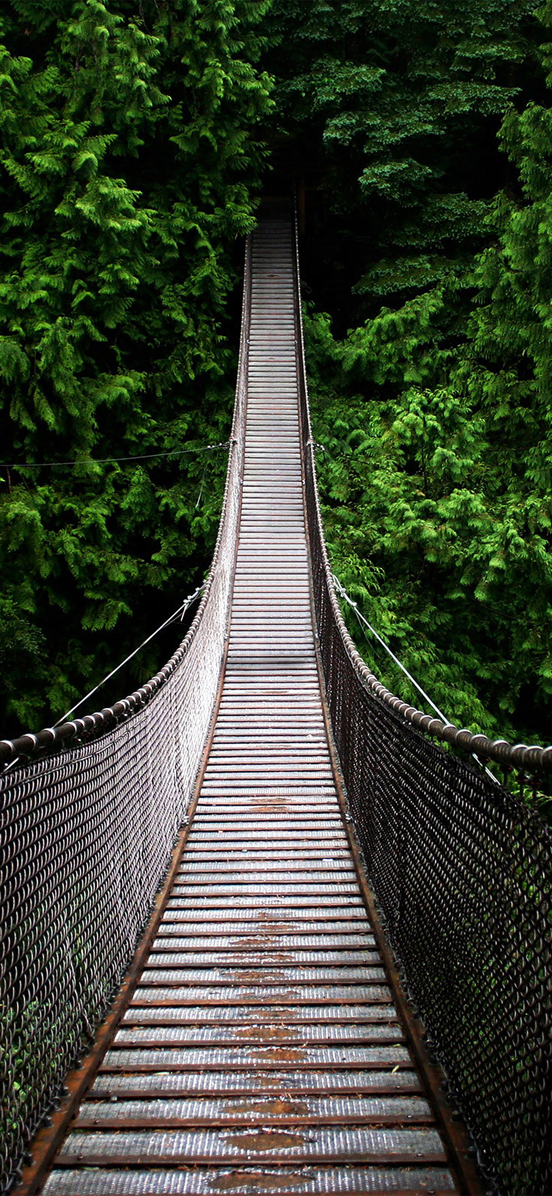 1130x2440 iPhoneXpapers way home mountain nature, Phone