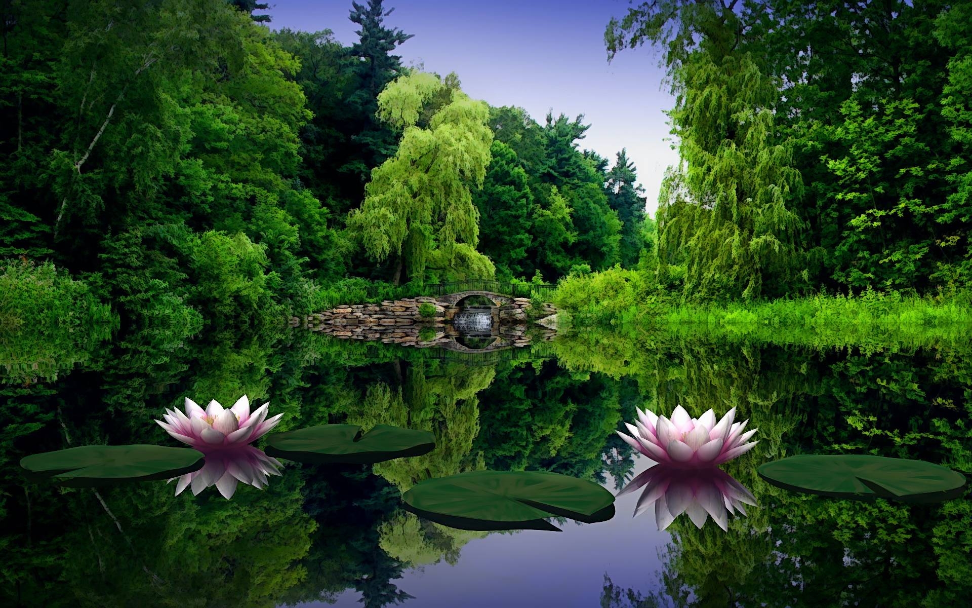 1920x1200 Lotus Flower Wallpaper Background, Desktop