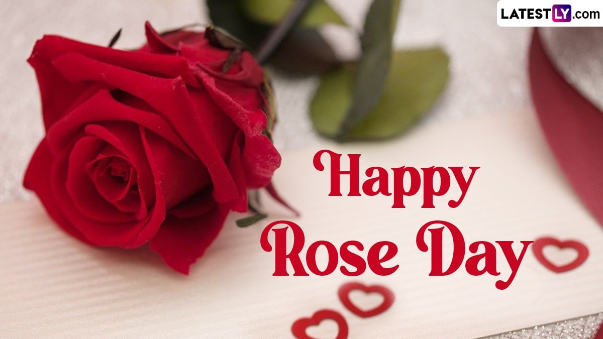 1200x680 Rose Day 2024 Image & HD Wallpaper, Desktop