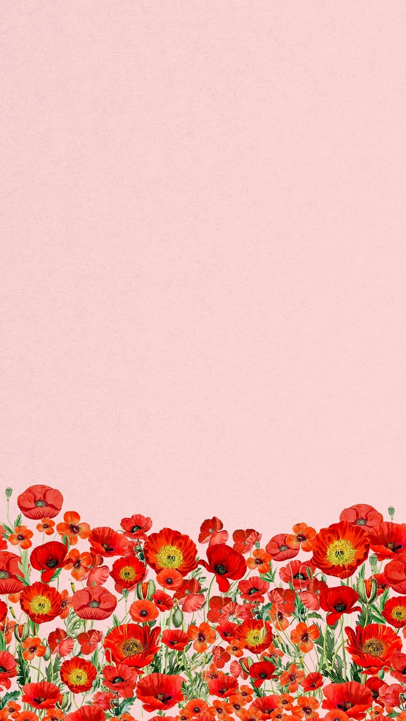 800x1430 iPhone Wallpaper Poppies Image Wallpaper, Phone