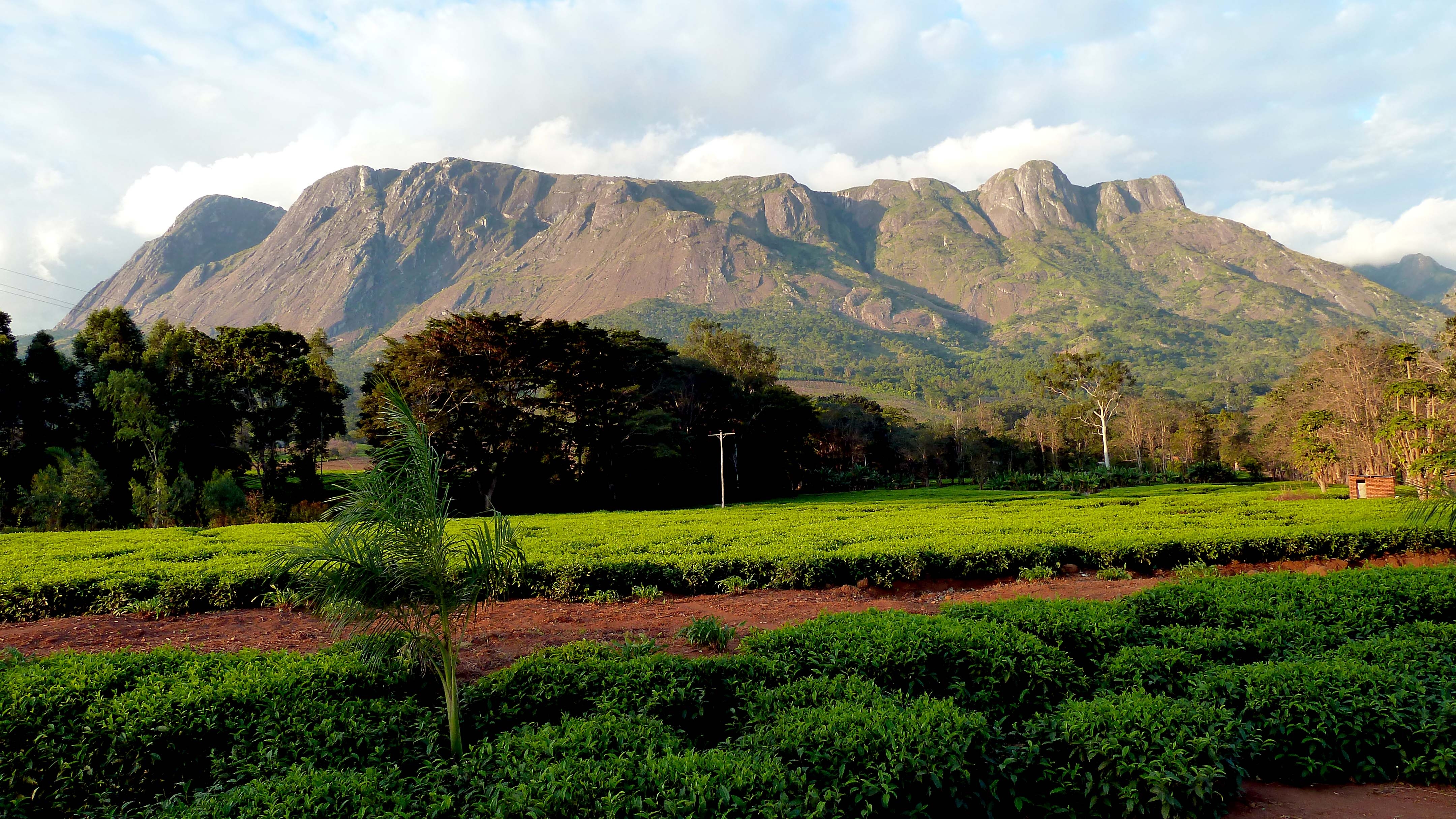 4320x2440 The Páramo of Malawi, Desktop