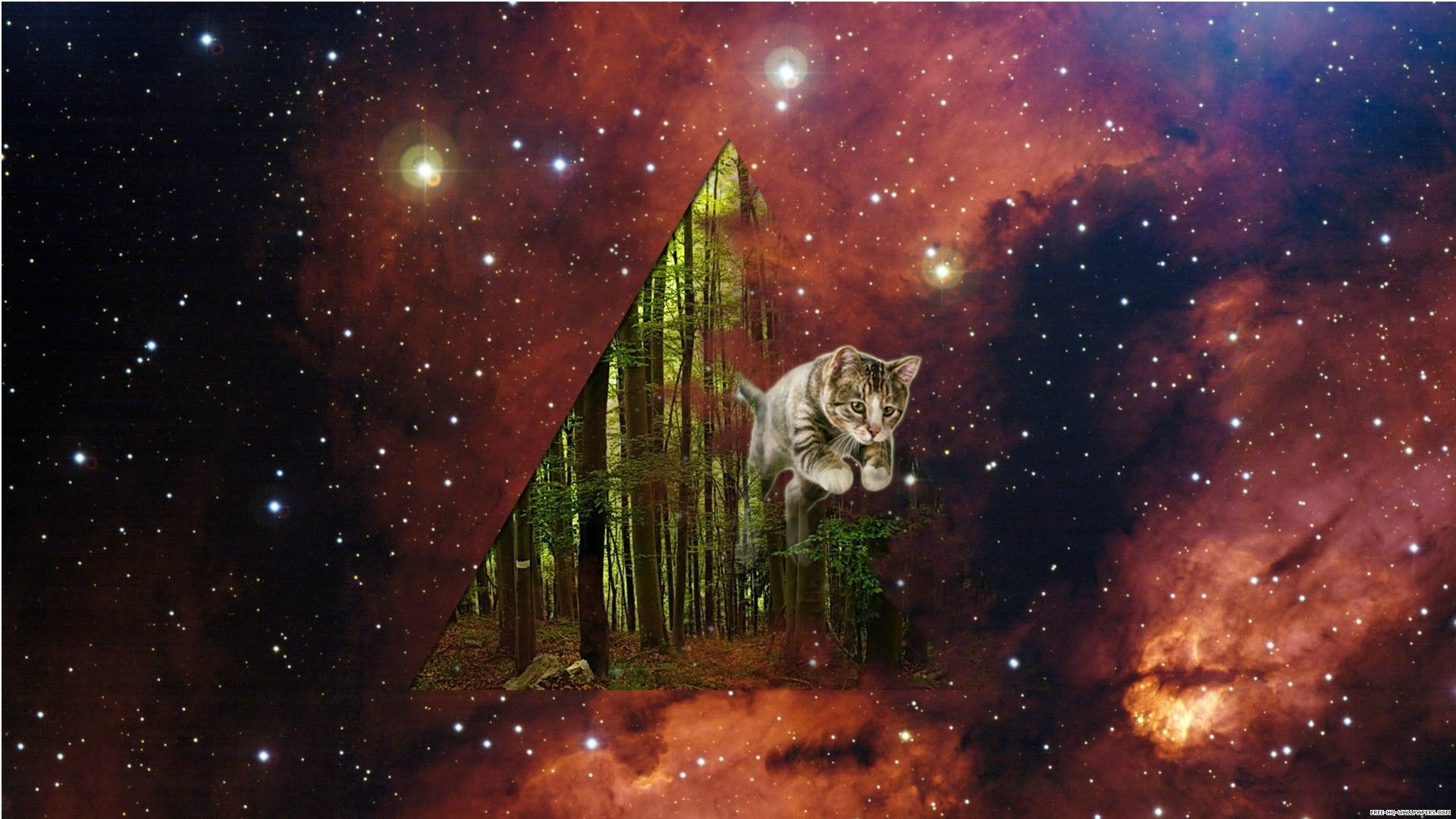 1920x1080 Cats In Space • R Spacecats. Hipster Phone Wallpaper, Cat Wallpaper, Space Phone Wallpaper, Desktop