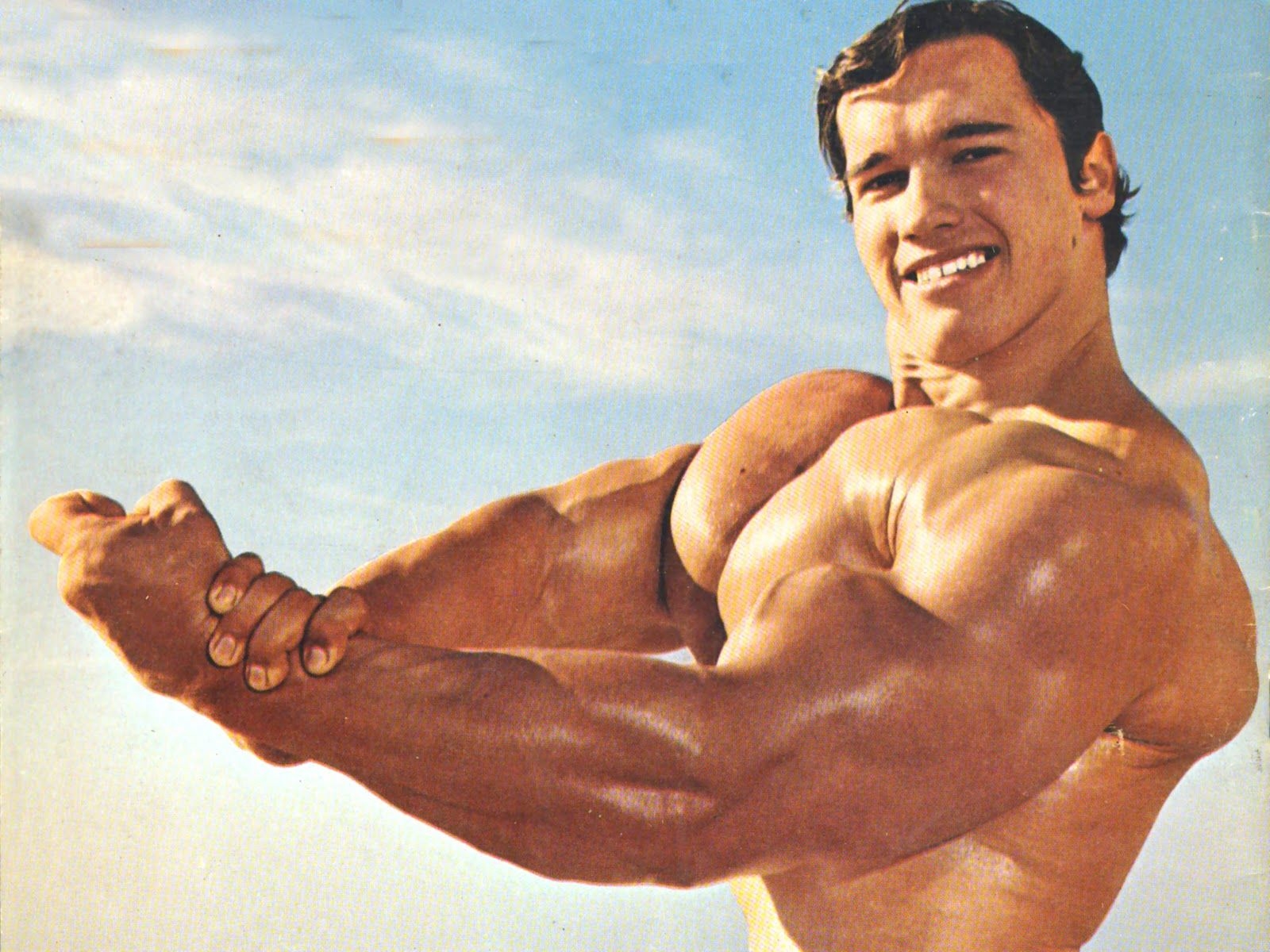 1600x1200 Arnold Schwarzenegger HD Wallpaperwallpaper.net, Desktop