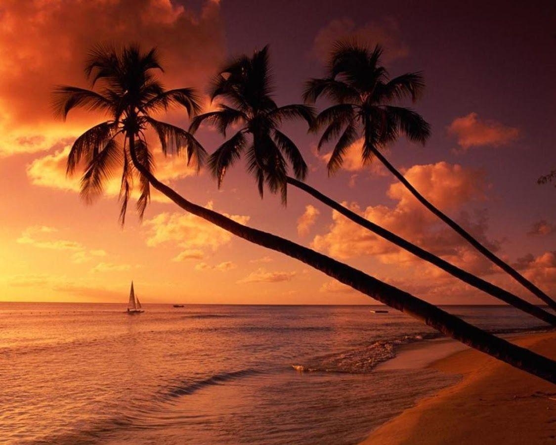 1130x900 Barbados Wallpaper Apps on Google Play, Desktop