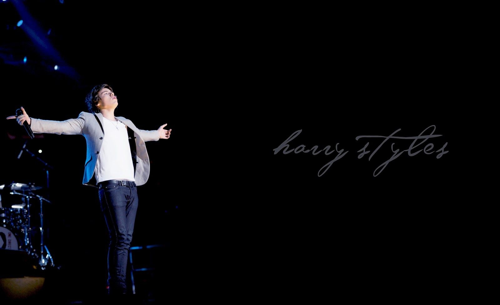 1600x980 Harry Styles Computer Background on.hipwallpaper.com, Desktop