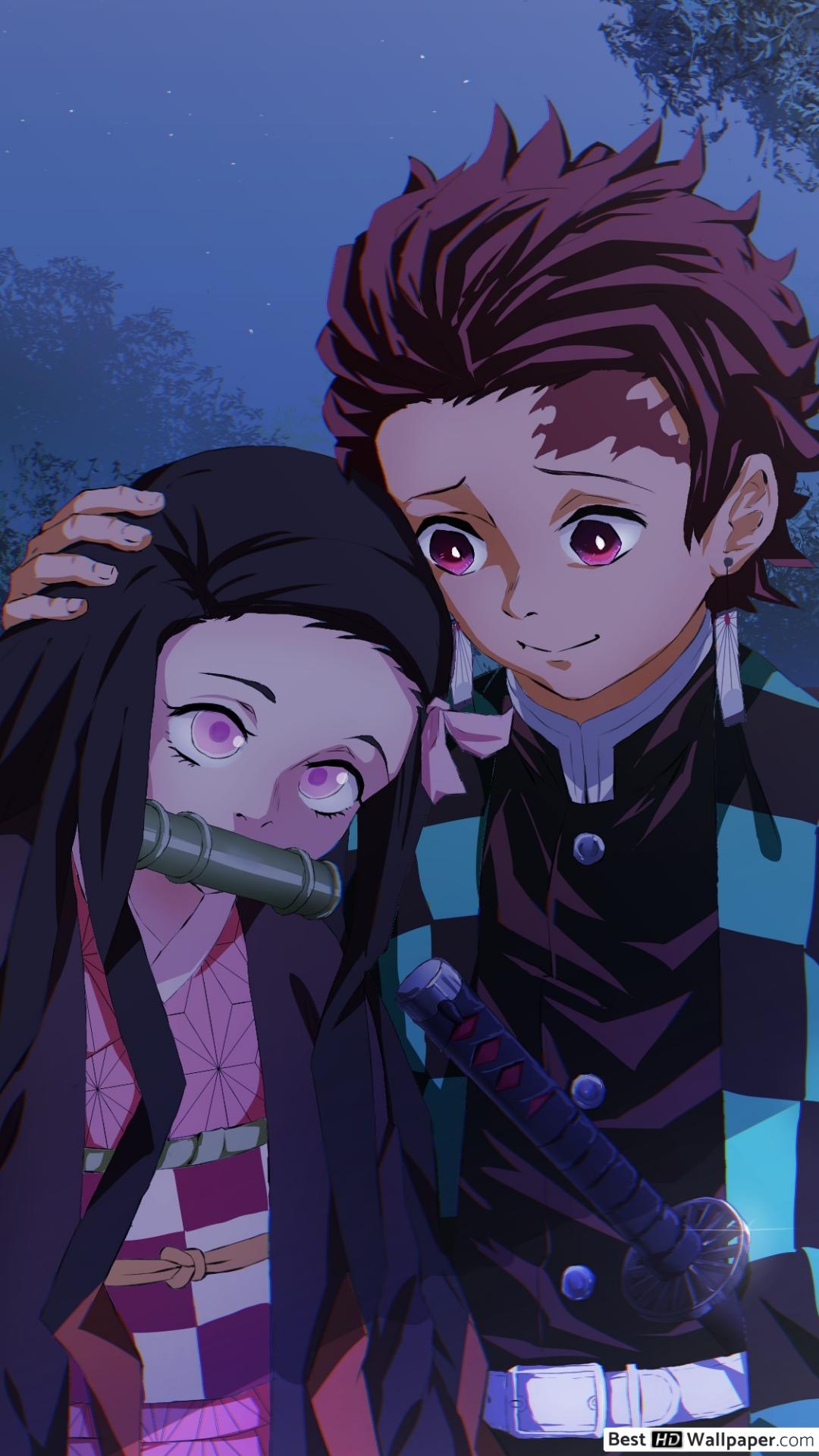 1080x1920 Demon Slayer Kamado & Tanjirou Kamado Siblings HD wallpaper download, Phone