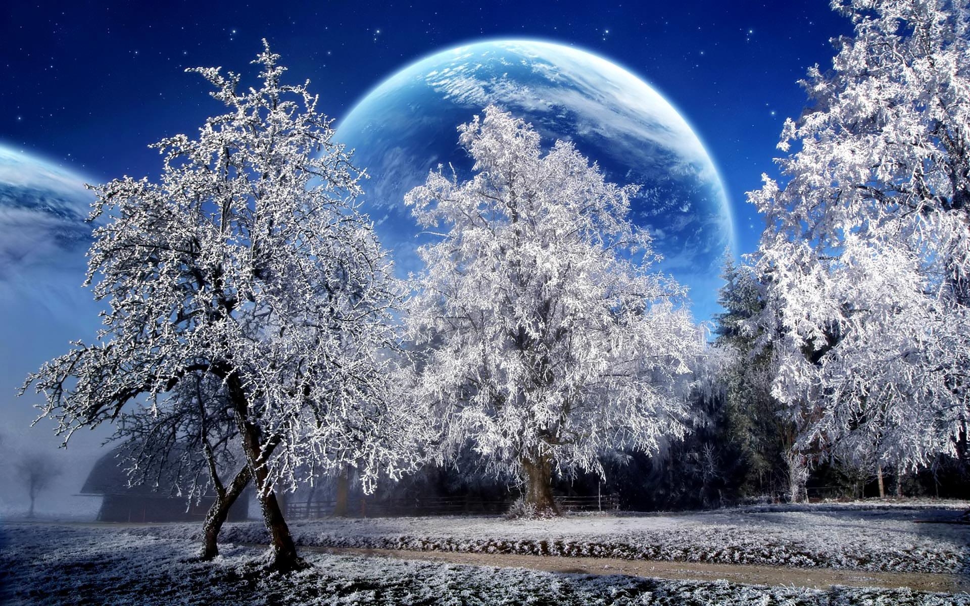 1920x1200 Free Winter Desktop Wallpaper, Download Winter Wallpaper, Desktop