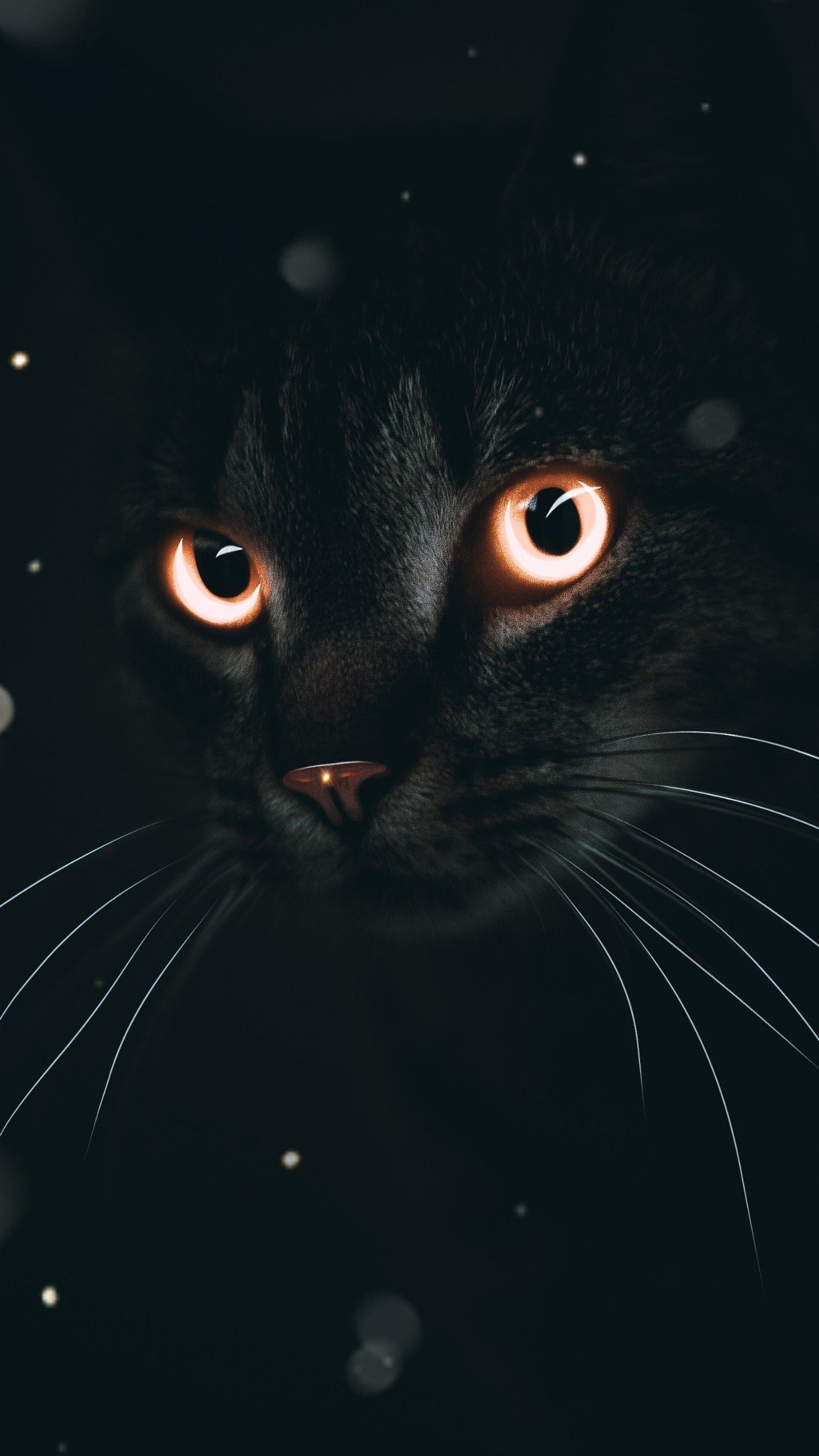 1440x2560 Dark Cat 4K Wallpaper, Phone