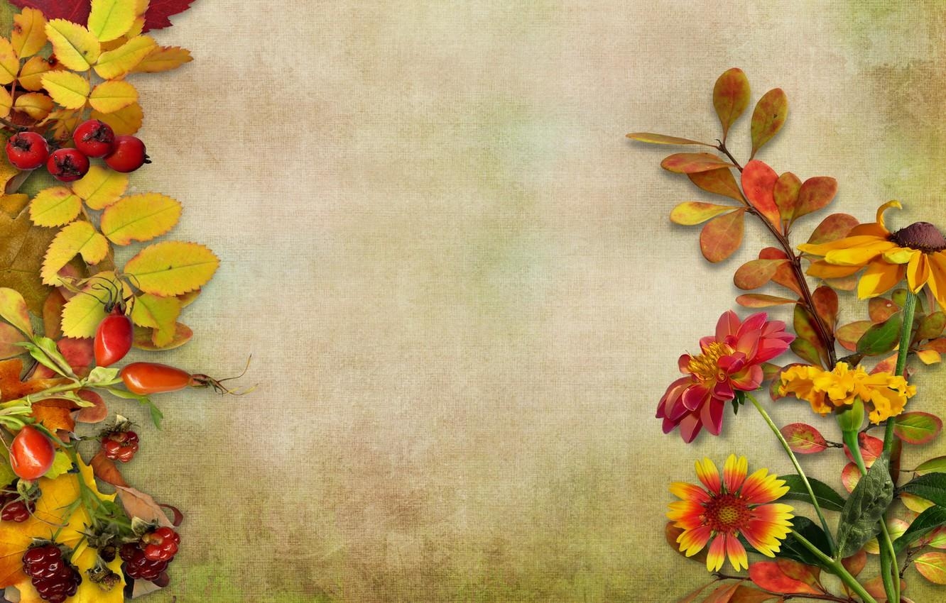 1340x850 Wallpaper autumn, leaves, flowers, berries, vintage, background, autumn, leaves image for desktop, section цветы, Desktop