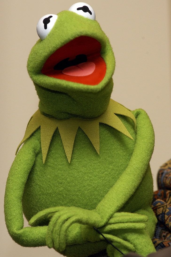 730x1100 Kermit the Frog HD wallpaper free download, Phone