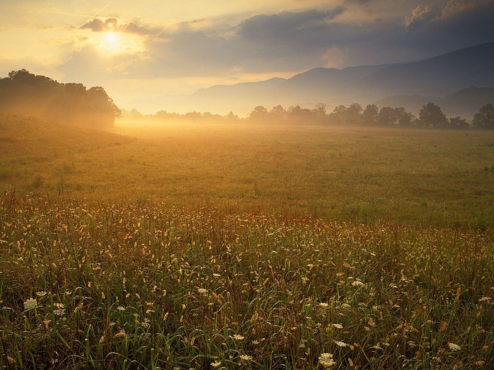 1600x1200 Nature: Cades Cove Sunrise, Great Smoky Mountains National Park, Desktop