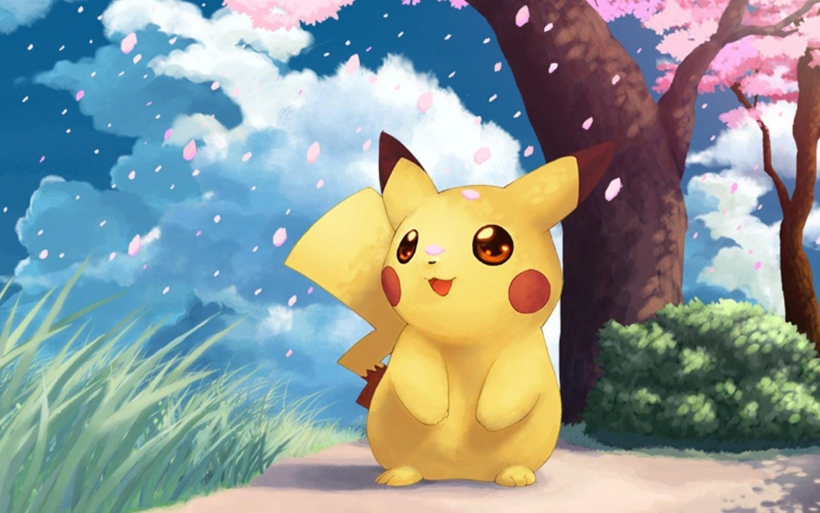 1600x1000 Pokémon Pikachu Wallpaper, Desktop