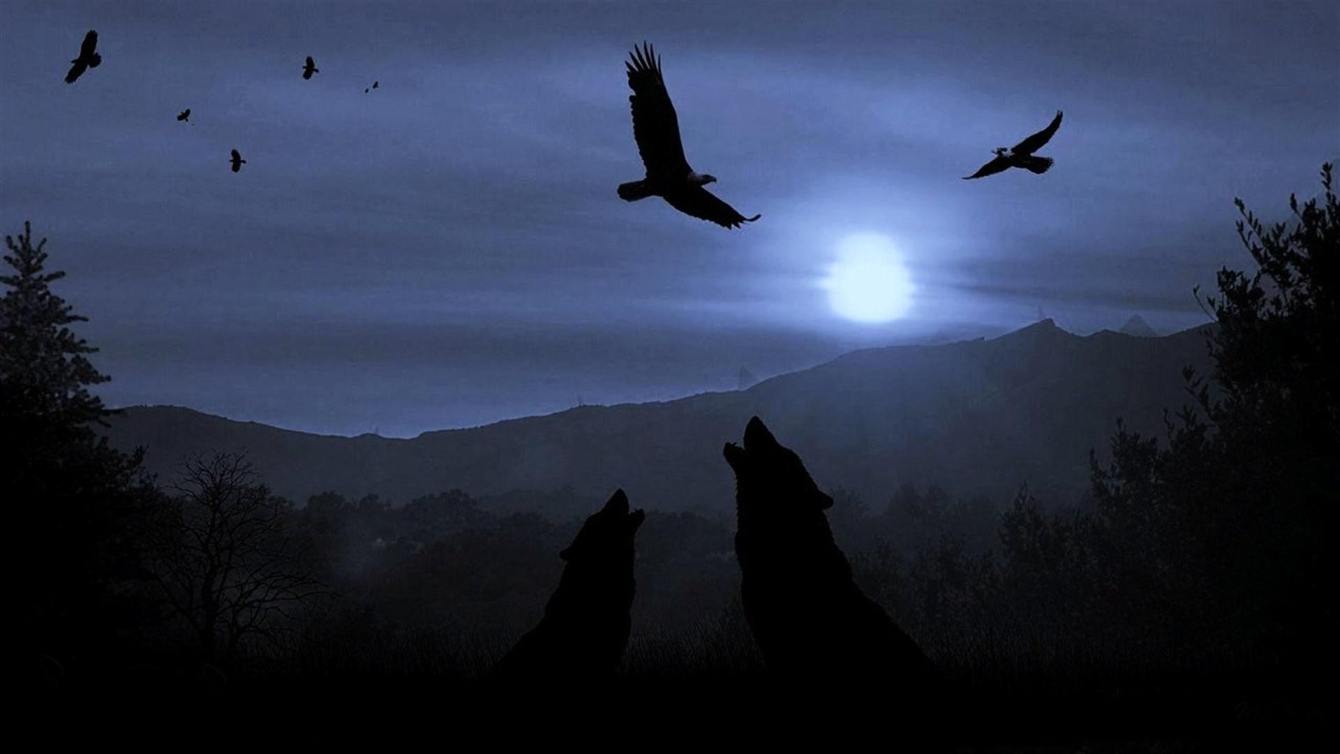 1920x1080 Wolf Moon Wallpaper, Desktop