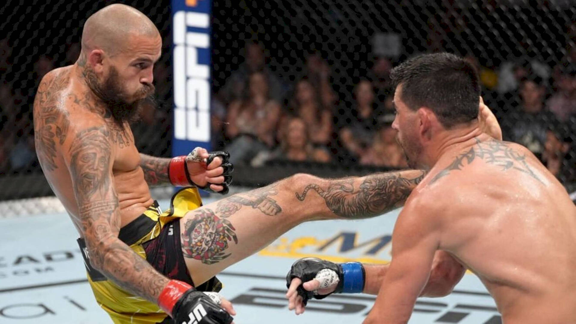 1920x1080 Marlon Vera Wallpaper, Desktop