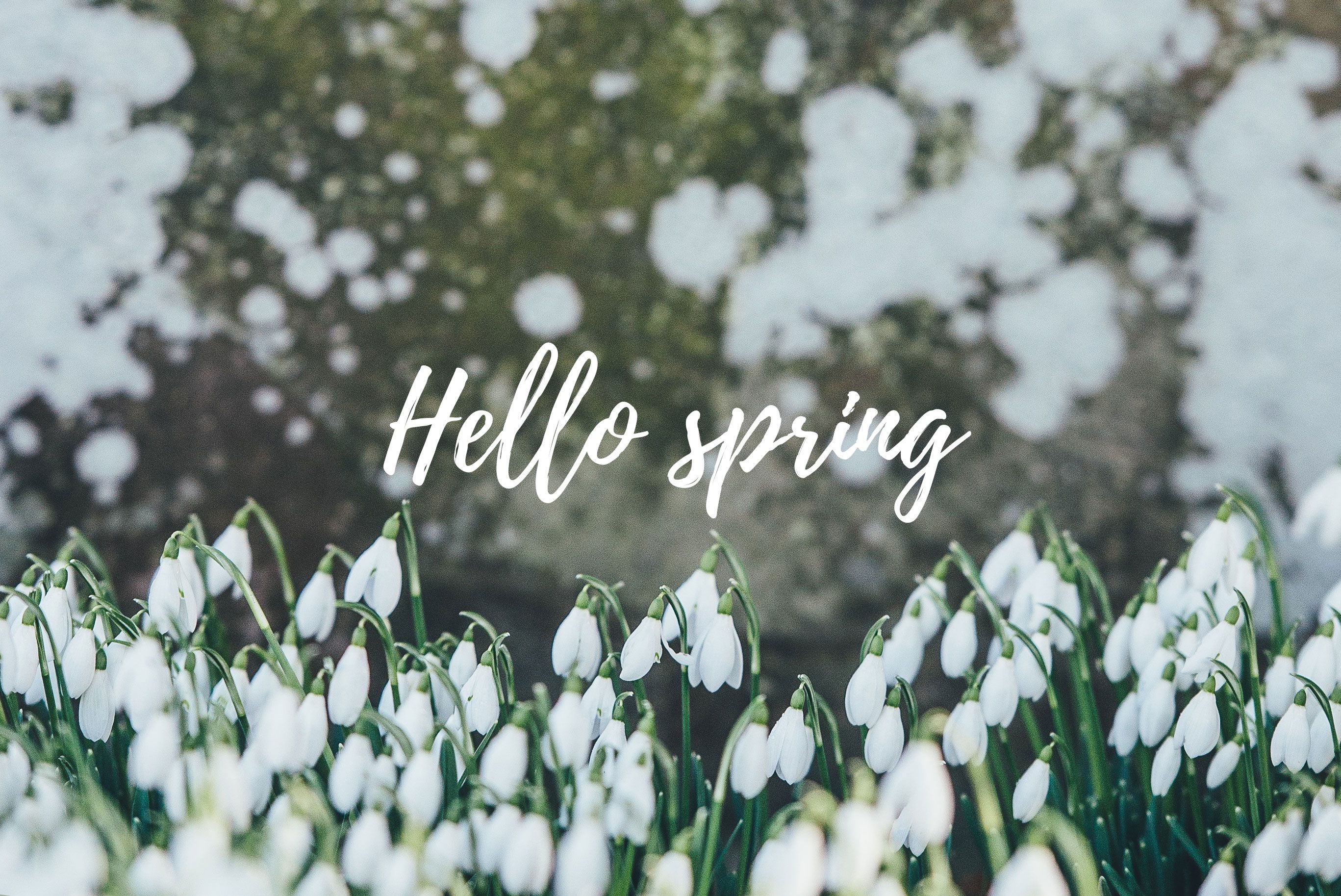 2740x1830 Aesthetic Spring Computer Background Wallpaper & Background Download, Desktop