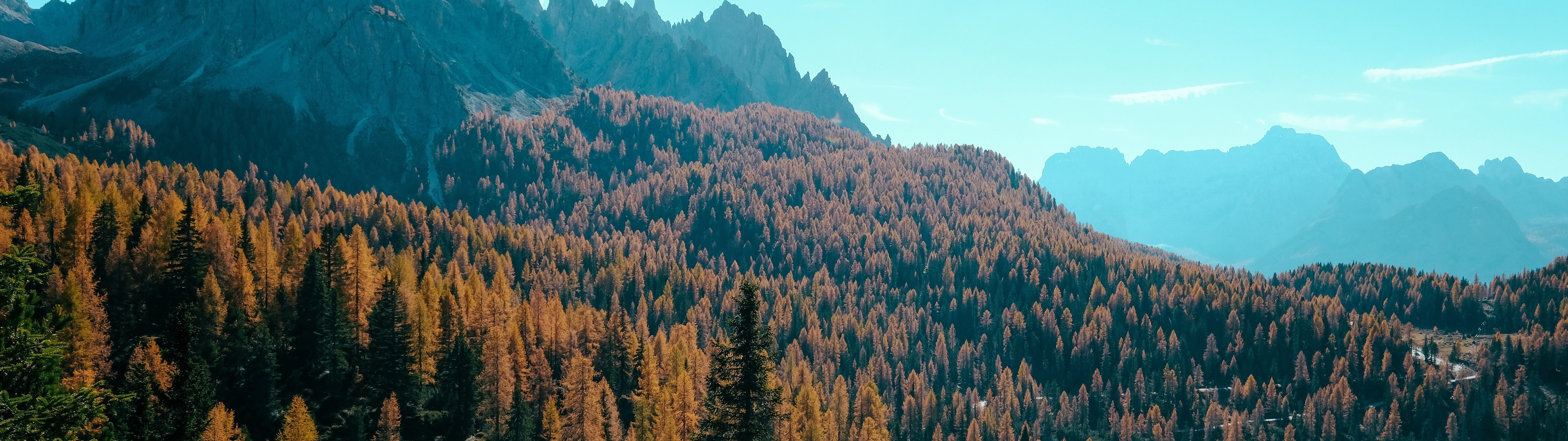 7680x2160 Forest, Autumn, Mountain, Forest, 8k, 7680x, Dual Screen