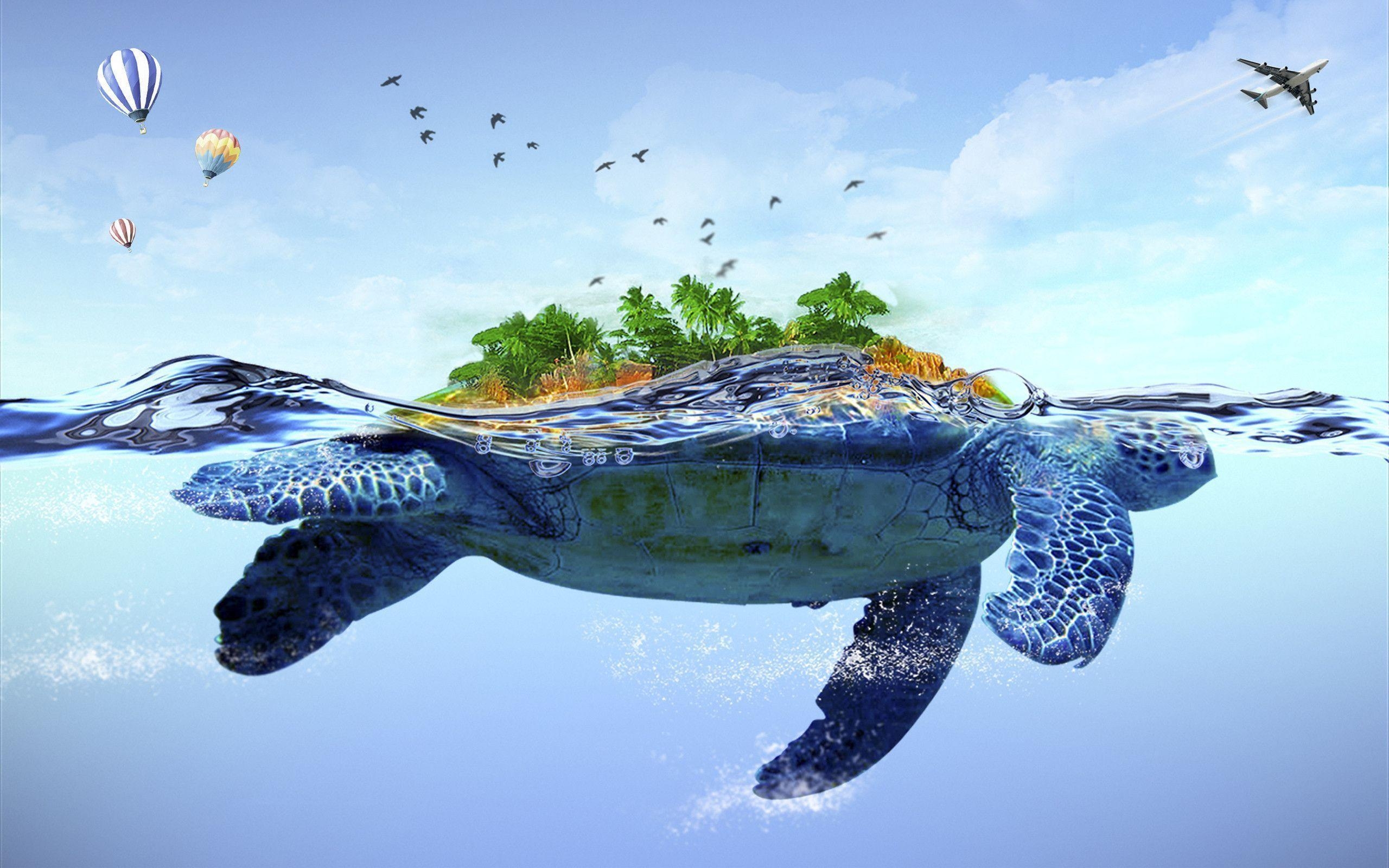 2560x1600 turtle wallpaper. vergapipe, Desktop