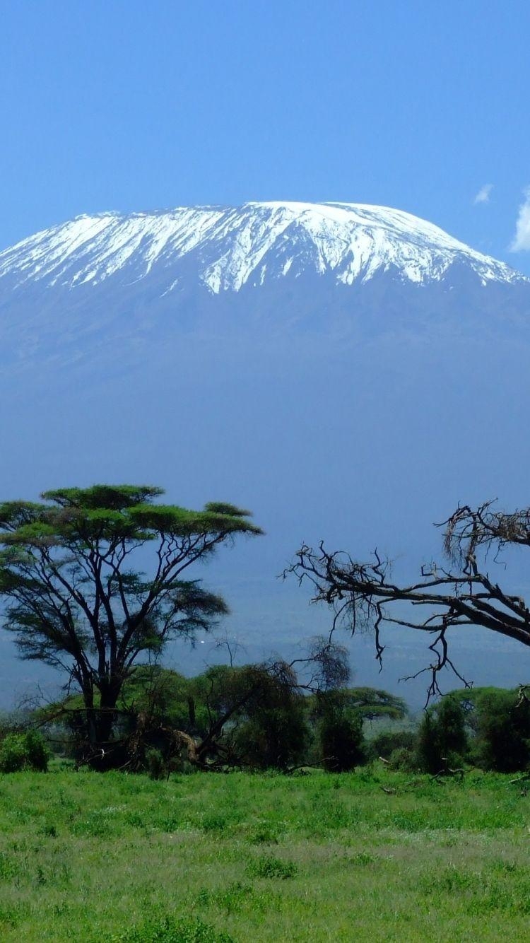 750x1340 Earth Mount Kilimanjaro () Wallpaper, Phone