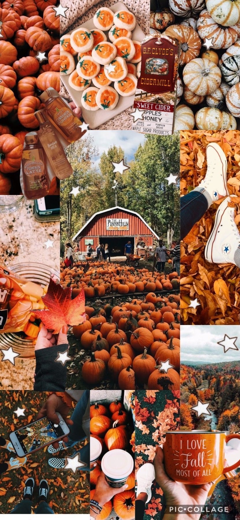 840x1800 Fall collage//Keira_droney #fall #collage #autumn #wallpaper #lockscreen #phone. Cute fall wallpaper, Fall wallpaper, iPhone wallpaper fall, Phone