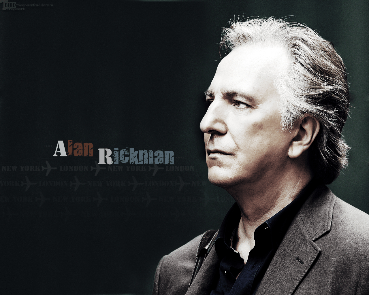 1280x1030 Alan Rickman HD Desktop Wallpaper, Desktop