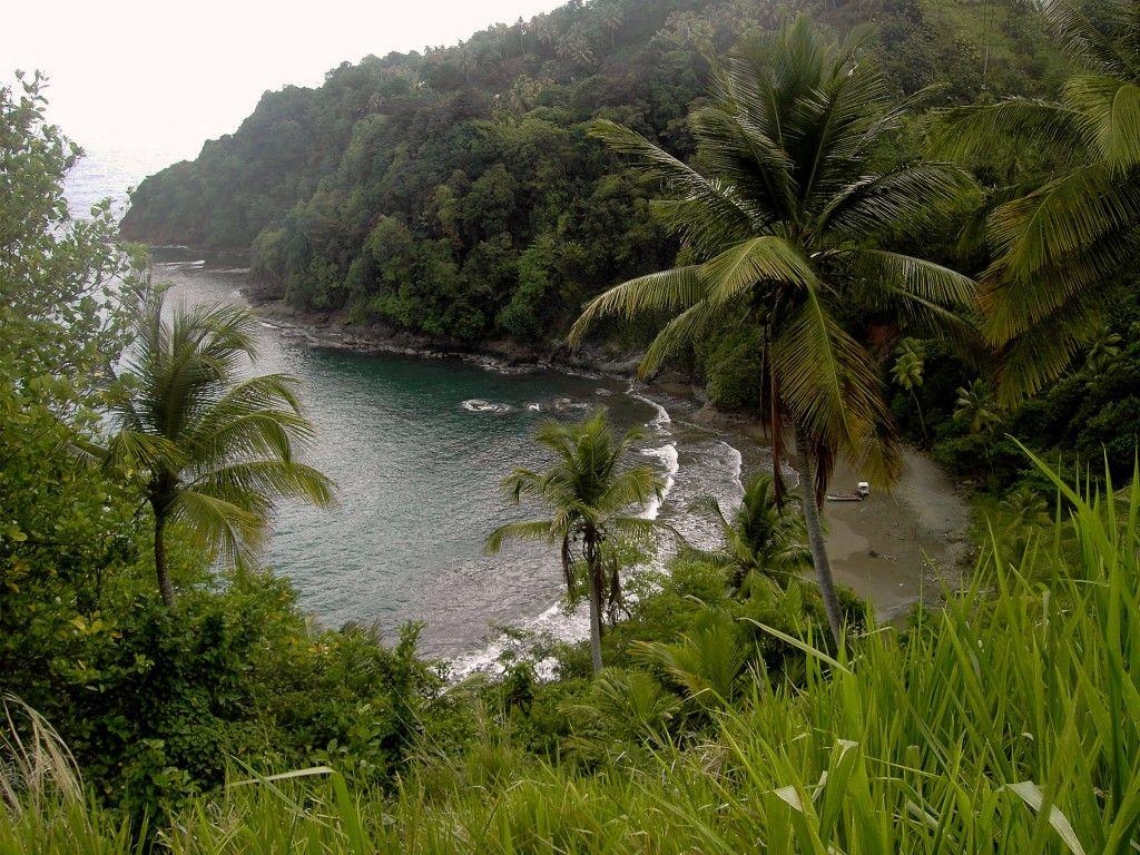 1030x770 Saint David Parish Dominica #Photo, Desktop