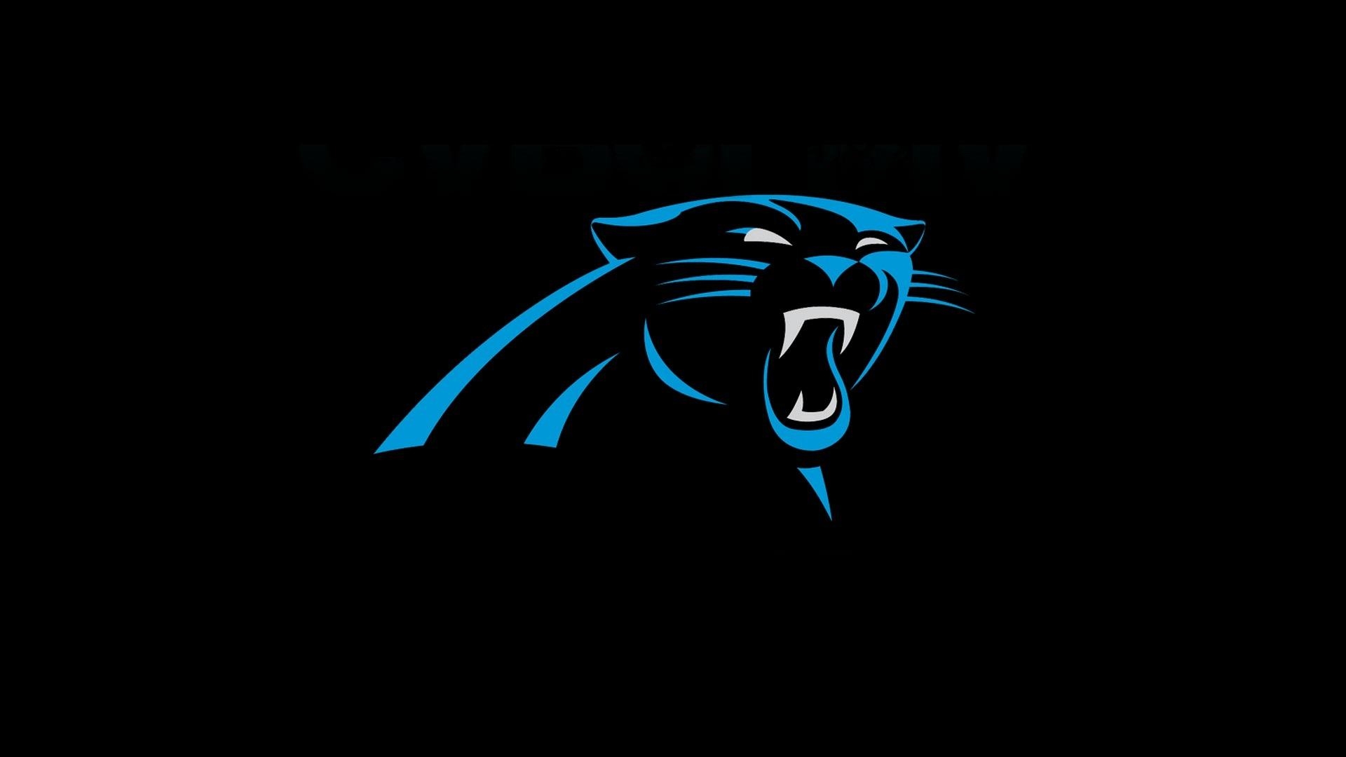 1920x1080 Carolina Panthers Wallpaper, Desktop