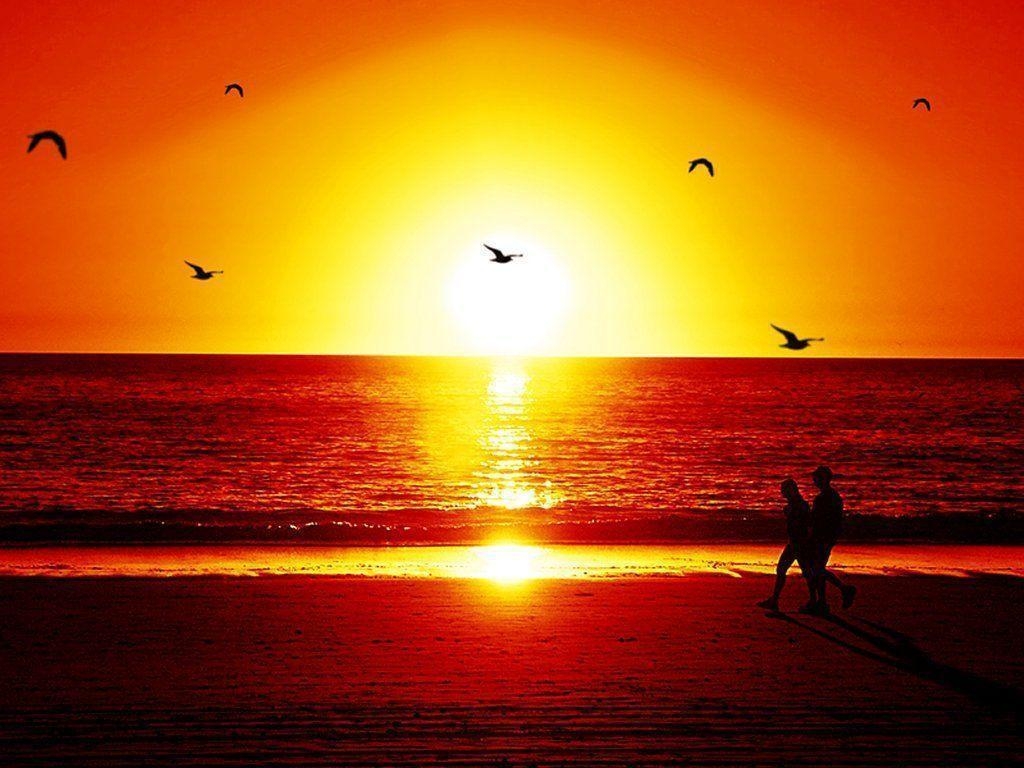 1030x770 image Of Sunset At The Beach Wallpaper, Desktop