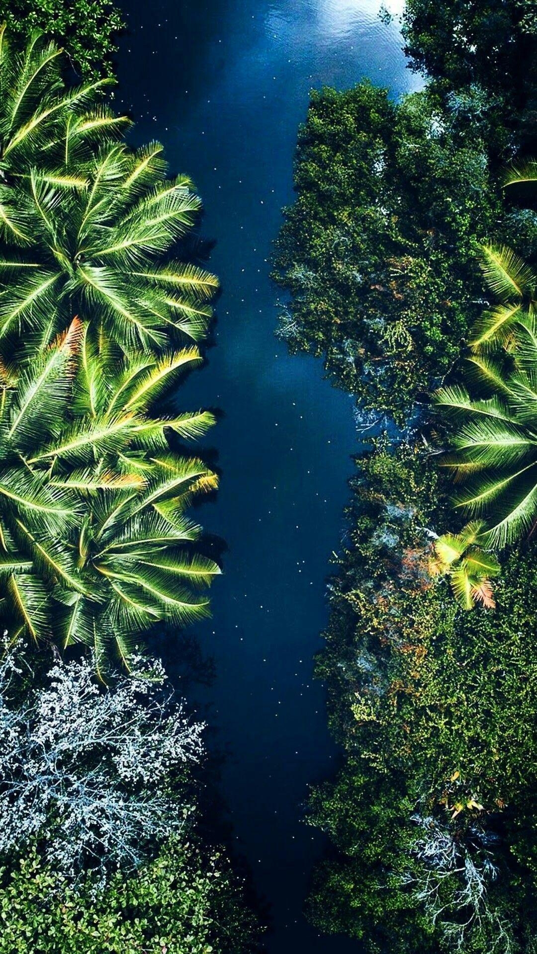 1080x1920 iPhone Wallpaper. Vegetation, Water, Nature, Green, Phone