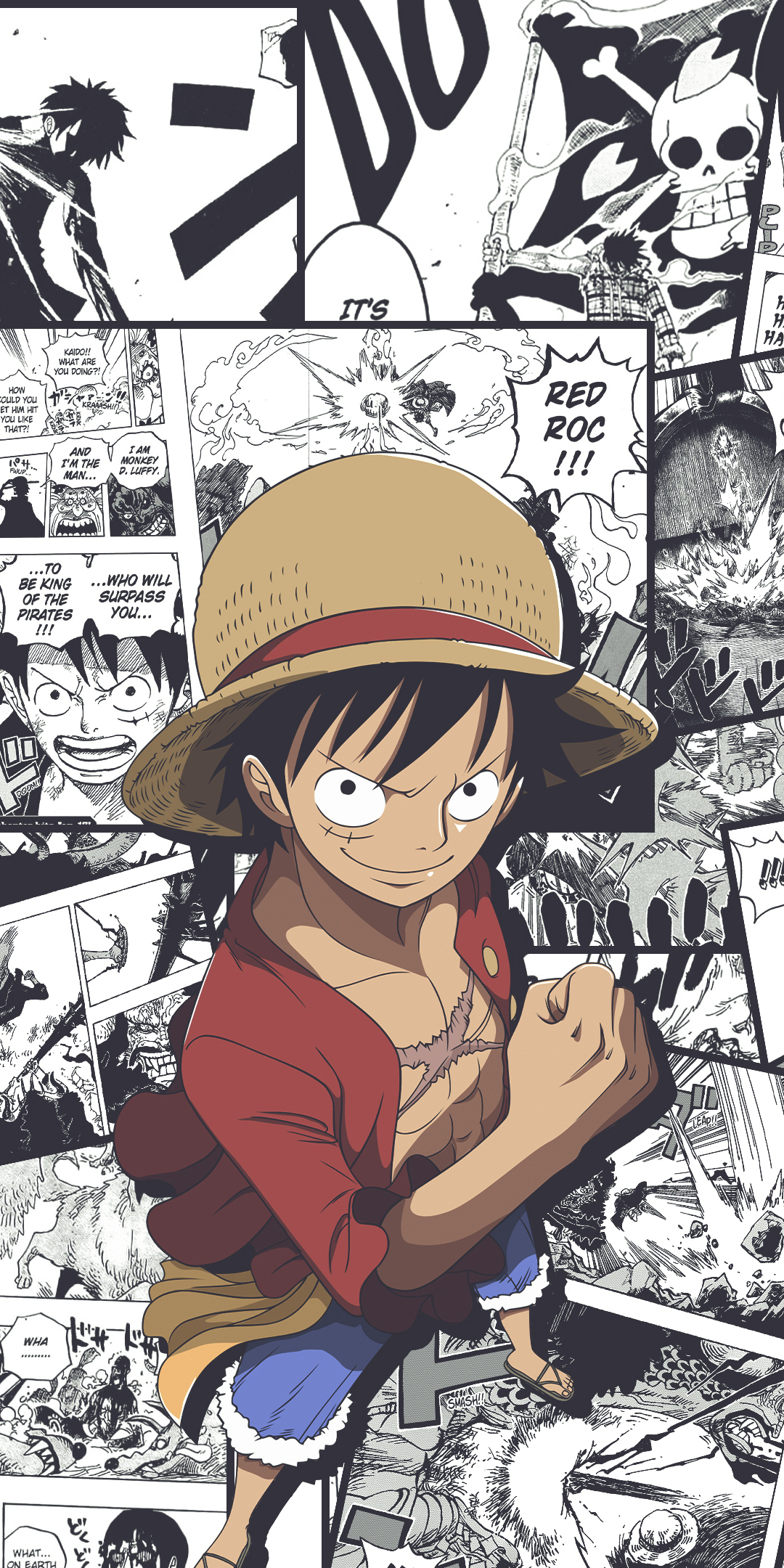 1080x2160 Anime One Piece Phone Wallpaper, Phone