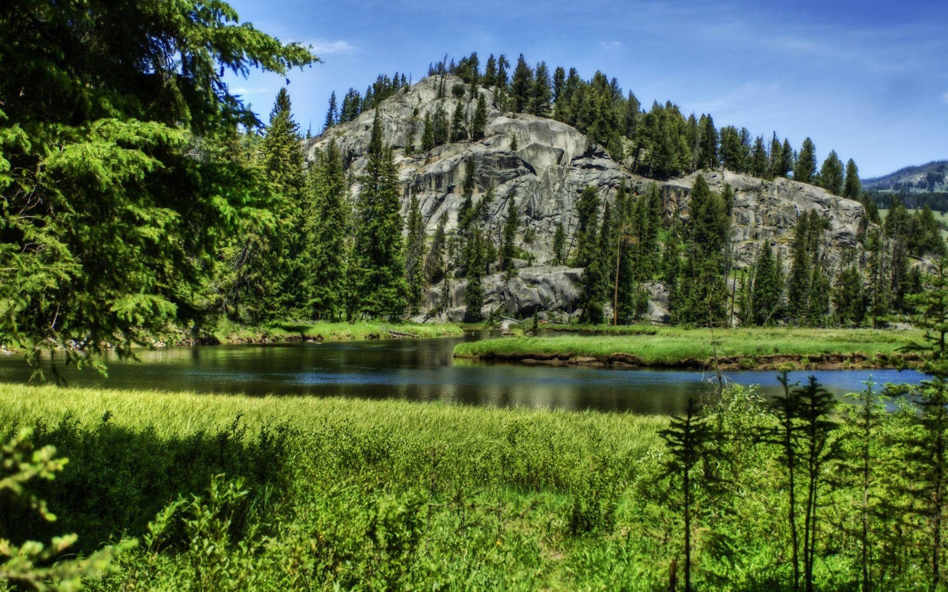 1920x1200 Wallpaper yellowstone national park, usa, mountain, river, spruce, Desktop