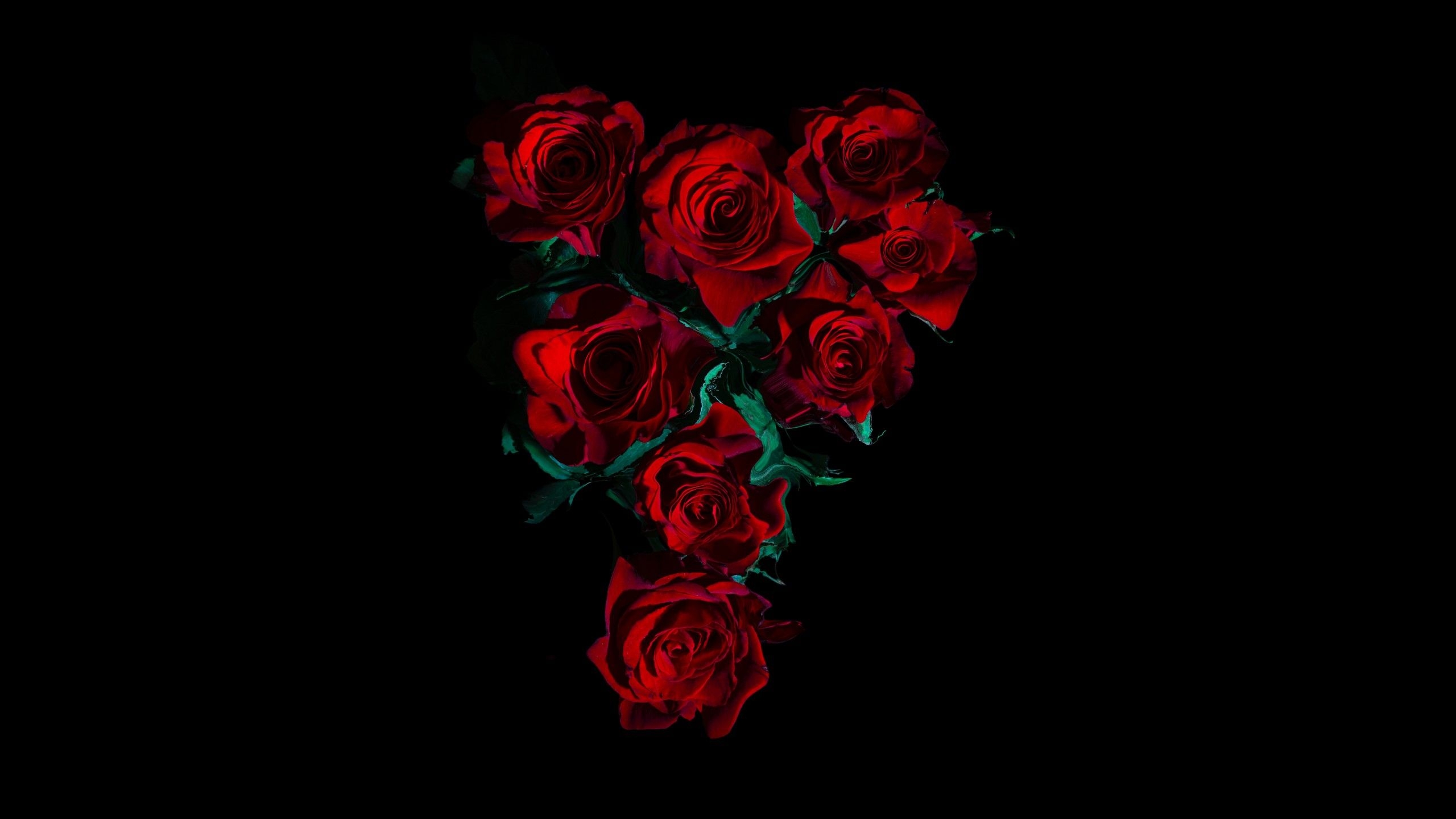 2560x1440 Red Roses 4K Wallpaper, Flower bouquet, Black background, 5K, 8K, Flowers, Desktop